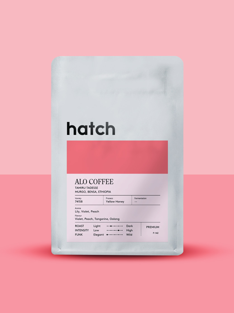 Alo Coffee Murgo Yellow Honey