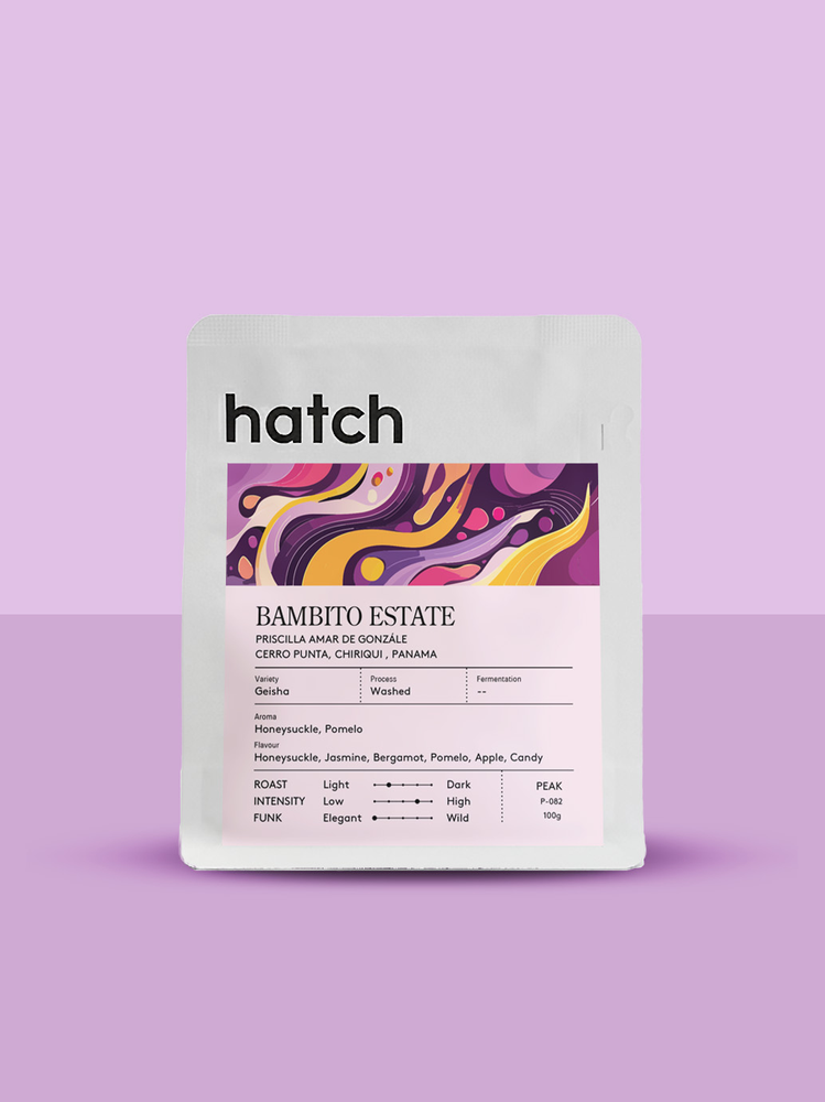 Bambito Estate Geisha Washed
