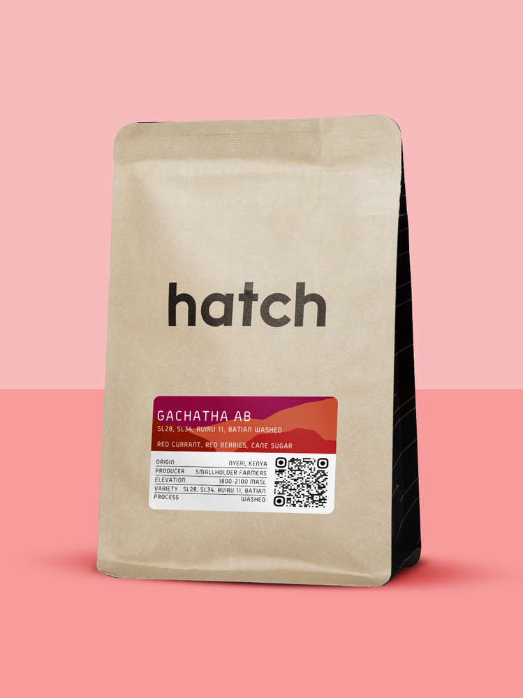 Gachatha AB Washed