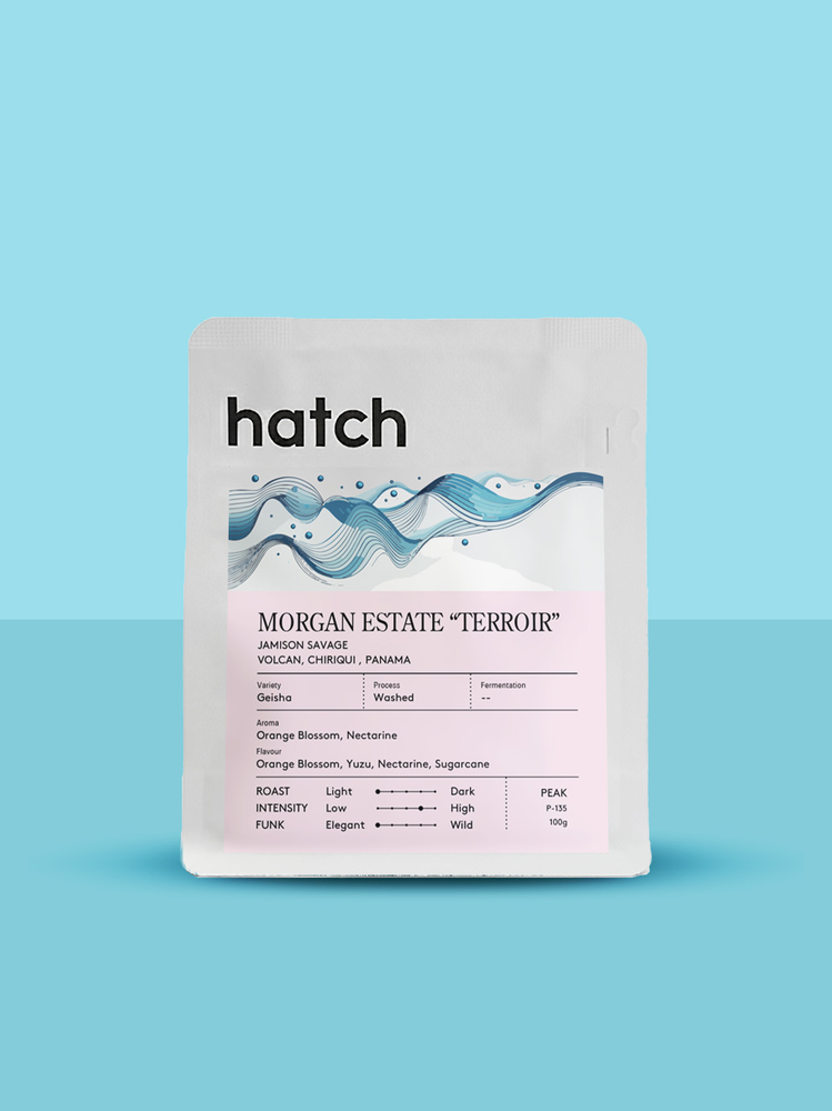 Morgan Estate "TERROIR" Geisha