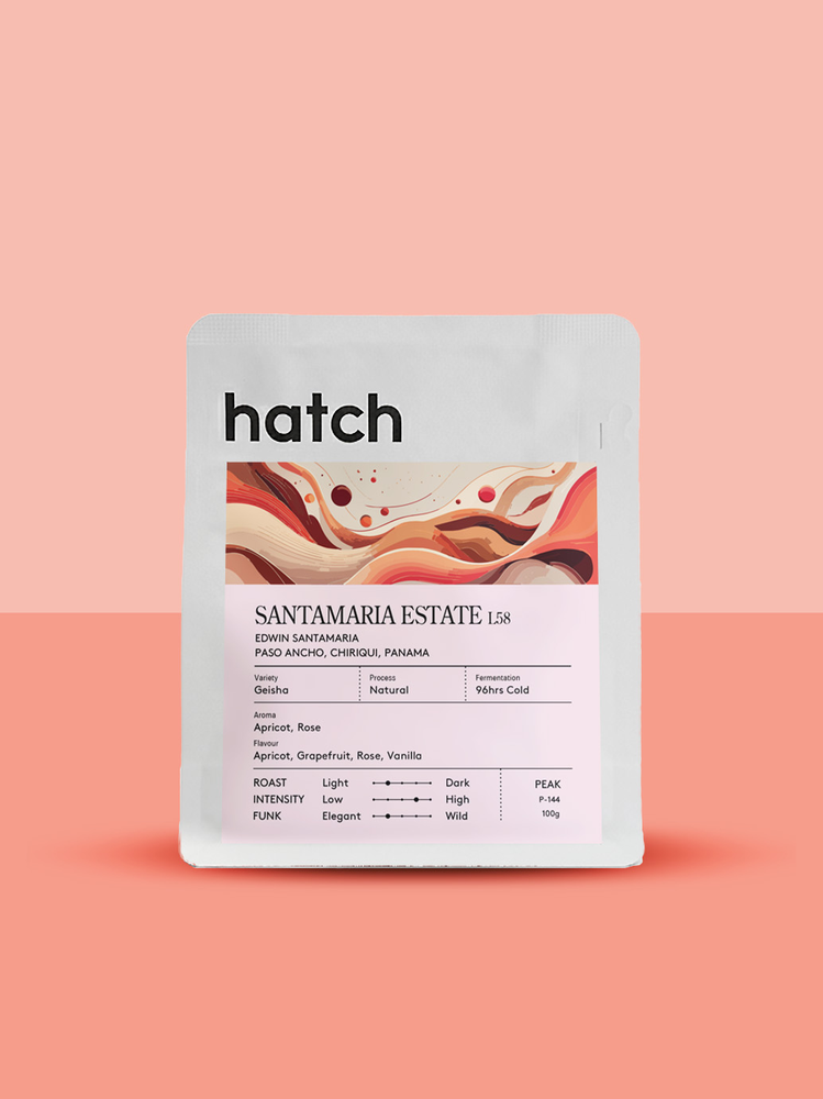 Santamaria Estate Geisha Natural L58