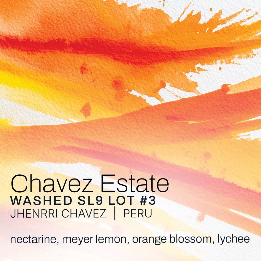 Chavez Estate Lot #3 · Jhenrri Chavez