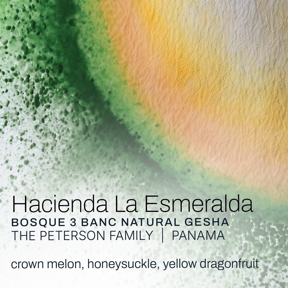 Hacienda La Esmeralda · Bosque 3 BANC