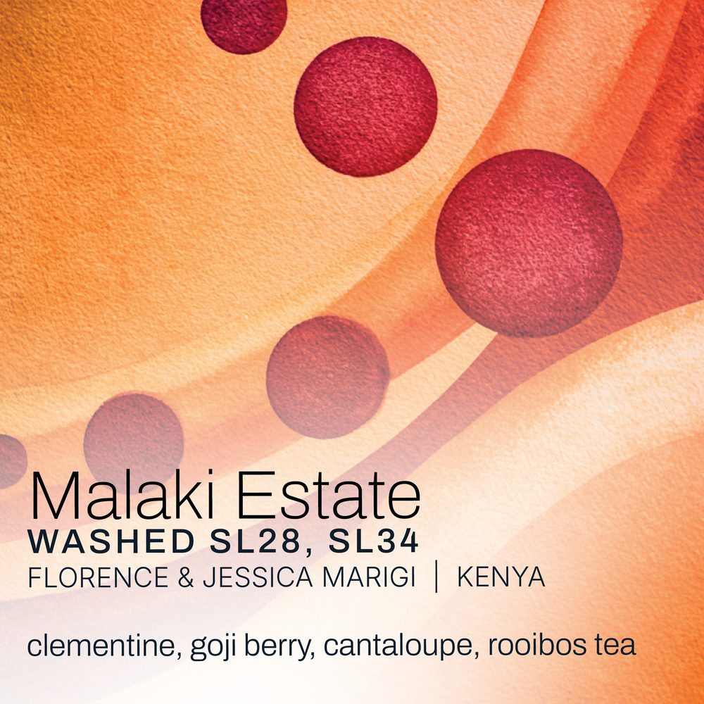 Malaki Estate · Florence y Jessica Marigi