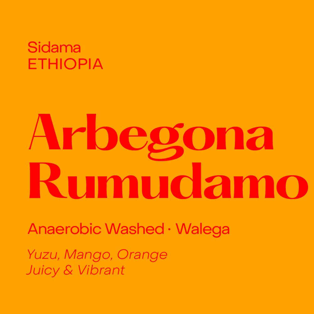 Arbegona Rumudamo · Anaerobic