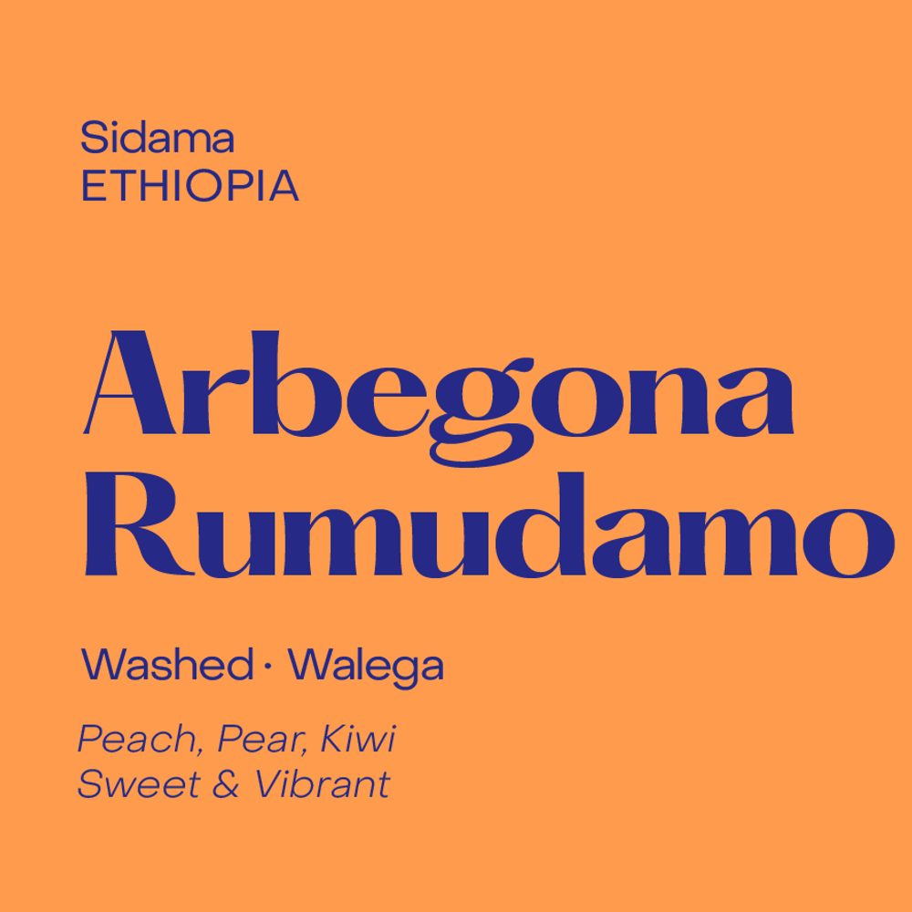 Arbegona Rumudamo · Washed