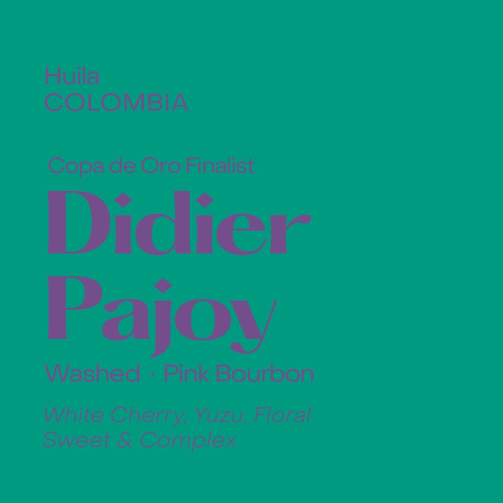 Didier Pajoy
