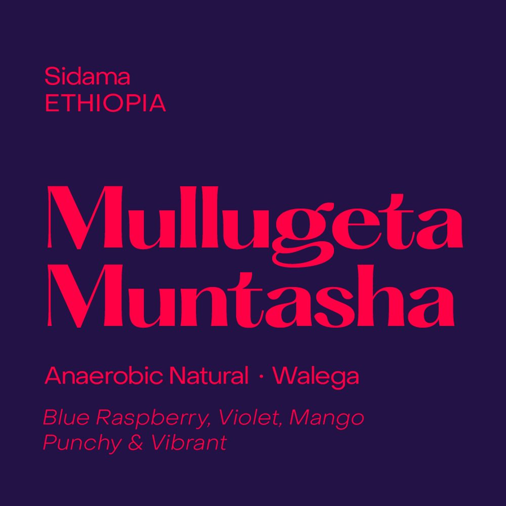 Mullugeta Muntasha
