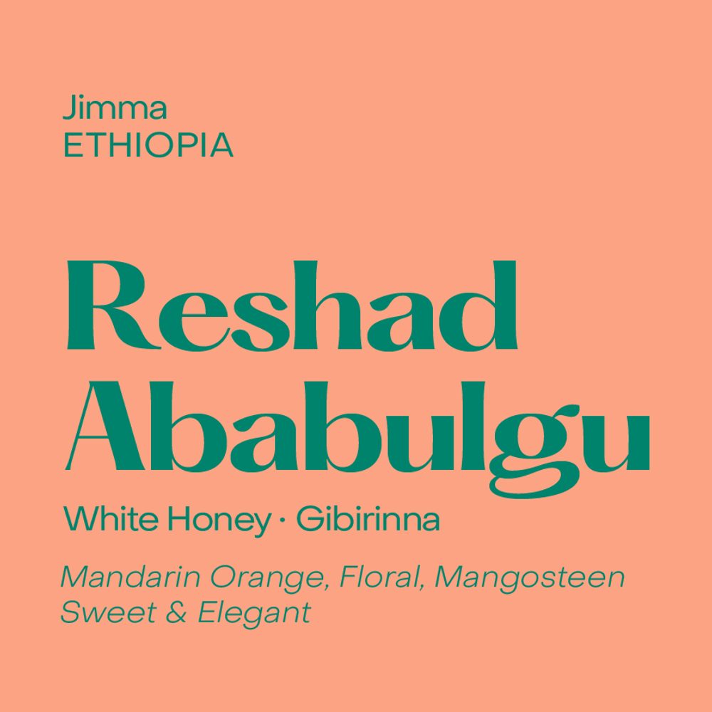 Reshad Ababulgu